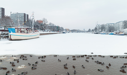 Winter cityscape of Turku, Finland. Ducks are in river water