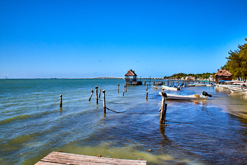 Embarcadero en un mar, día soleado, troncos y botes, arboles en la orilla, embarcadero en la laguna de terminos en isla aguada Campeche