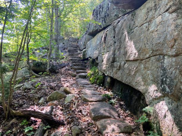 istock Acadia National Park Stone Stairs 1466480378