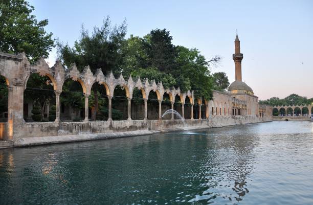 istock fish lake park anzileyh, sanliurfa, turkey 1466482155