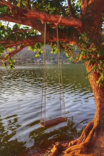 wooden swing in the park