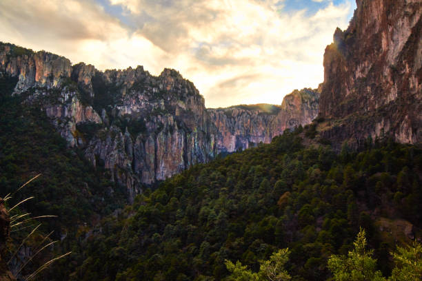 Cañon y valle, bosque de coniferas, acantilados y nubes amarillas, atardecer  en basaseachi Chihuahua