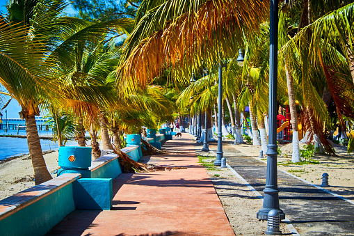 Malecon y embarcadero, farolas, palmeras al rededor del sendero, mar azul en el fondo, laguna de terminos en isla aguada Campeche, golfo de México