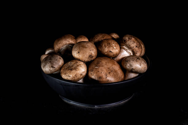 organic brown mushrooms on black background