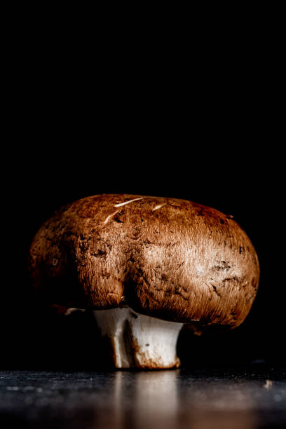 istock Organic Mushroom on Black Background 1466504255