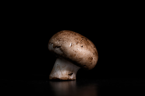 organic brown mushroom on black background