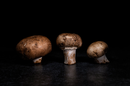 organic brown mushrooms on black background
