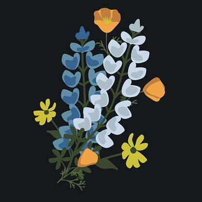 Native USA flowers vector bunch