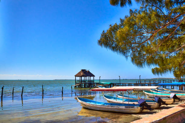 Embarcadero en el mar, pelícanos pardos, botes de remos y motor, día soleado, arboles en la orilla, laguna de terminos en isla aguada Campeche