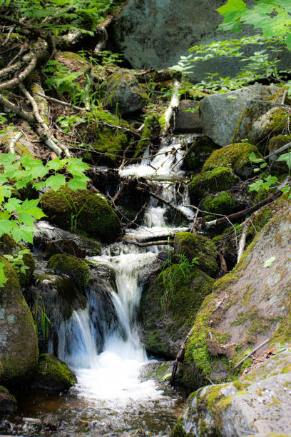 istock Fjord du Saguenay 1466517173