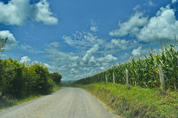 istock Santa Catarina landscape 1466520054