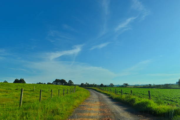 istock Santa Catarina landscape 1466520056