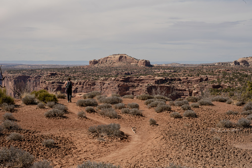 Hiker Heading Out On Neck Spring Trail to an overlook of the canyonlands