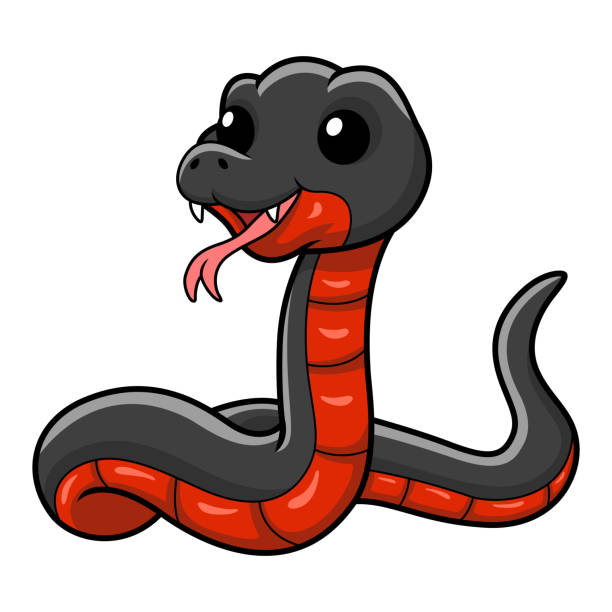 милая краснобрюхая черная змея мультфильм - 7946 stock illustrations