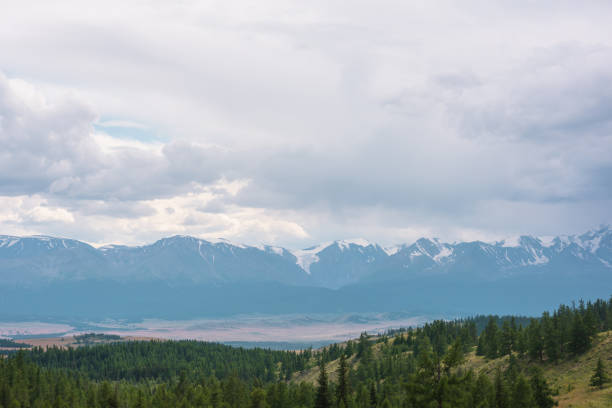 Dramatic mountain landscape with green coniferous forest hills and high snowy mountain range under rainy cloudy sky. Atmospheric aerial view to conifer forest and large snow mountains in overcast.