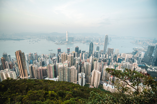 Aerial view of Hong Kong city.