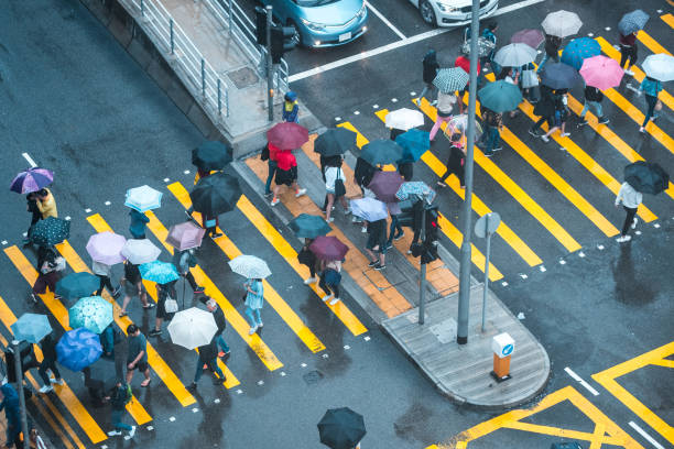 istock Aerial View On A Crosswalk In Hong Kong 1466526959