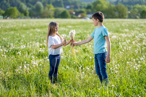 Caucasian boy giving girl bouquet of dandelions, wide shot. Cute children standing in wildflowers meadow at day time with beautiful landscape in background, side view