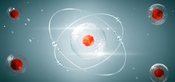 istock 3D rendering of human cell or embryonic stem cell microscope background 1466534551