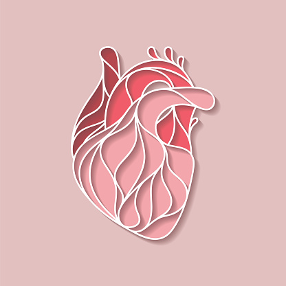 An abstract, artistic depiction of a human heart. EPS10 vector illustration, global colors, easy to modify.