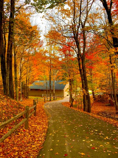 istock Beautiful Foliage in Cannon Mountain 1466539966