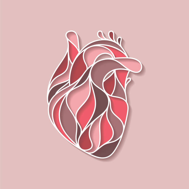 추상 인간의 마음 - glass heart stock illustrations