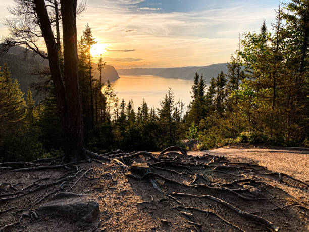 parque nacional do fiorde saguenay - saguenay - fotografias e filmes do acervo