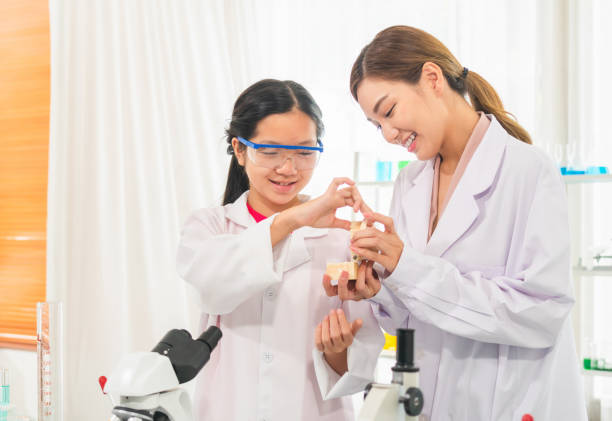 istock Elementary science class, Cheerful kid girl with teacher scientist in school laboratory, Science laboratory 1466549505