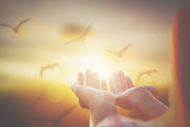 mujeres y mano sosteniendo y cielo durante el amanecer .concepto de libertad - heaven women sunrise inspiration fotografías e imágenes de stock