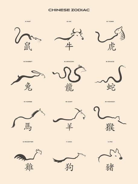 ilustraciones, imágenes clip art, dibujos animados e iconos de stock de 12 signos animales de la astrología china - año de la serpiente