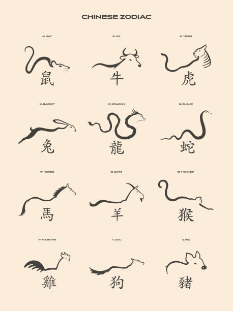 12 animal signs of Chinese astrology Plate of illustrations representing the 12 animal signs of Chinese astrology with their Chinese character and meaning chinese zodiac sign stock illustrations