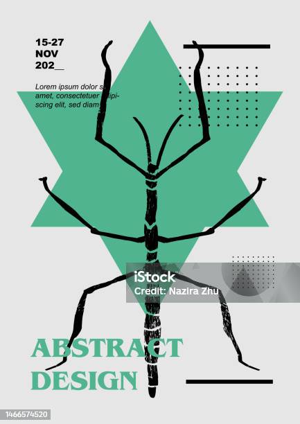 Stick Insect Grey Background Stick Insect Vector Poster With Insects Engraving Illustrations And ...