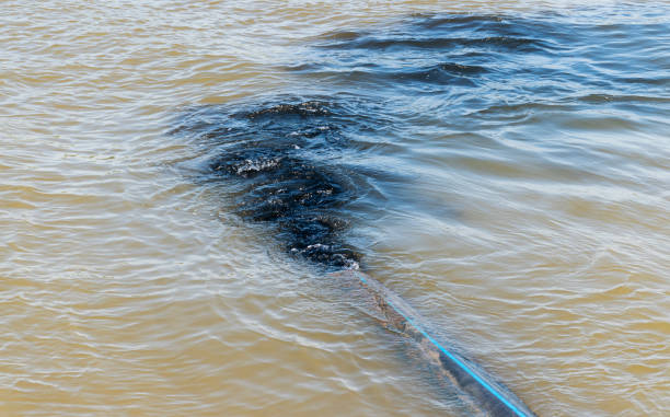 istock Waste water from industrial sewers into river 1466580049