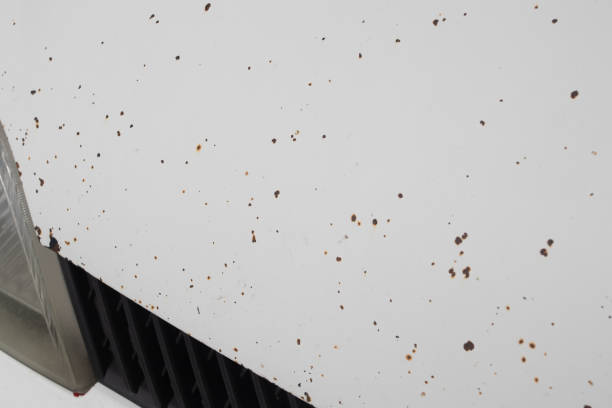 istock Chips on the paintwork of the hood car 1466580089