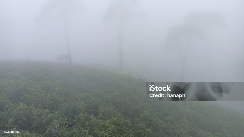 Cloud bread ih the garden tea Cloud bread Air Itam Stock Photo