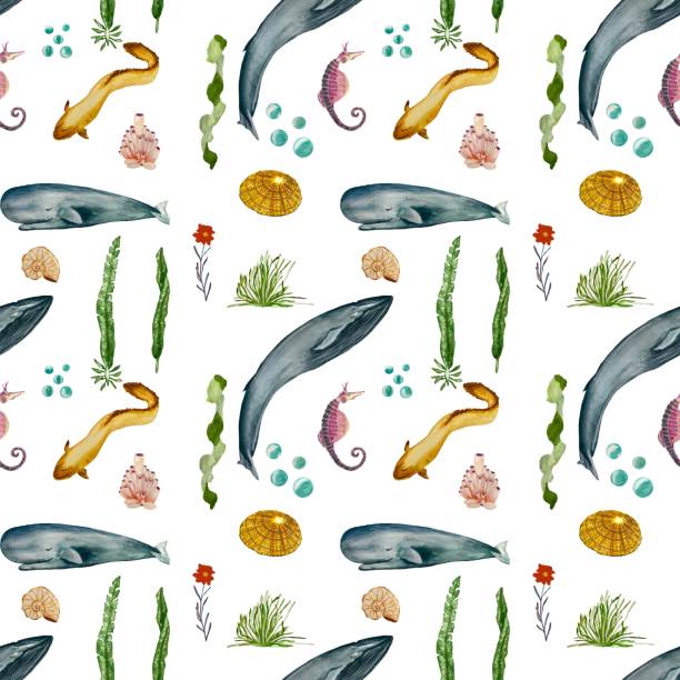 illustrazioni stock, clip art, cartoni animati e icone di tendenza di anguilla balena alga corallo guscio modello di acquerello - label travel san diego california california