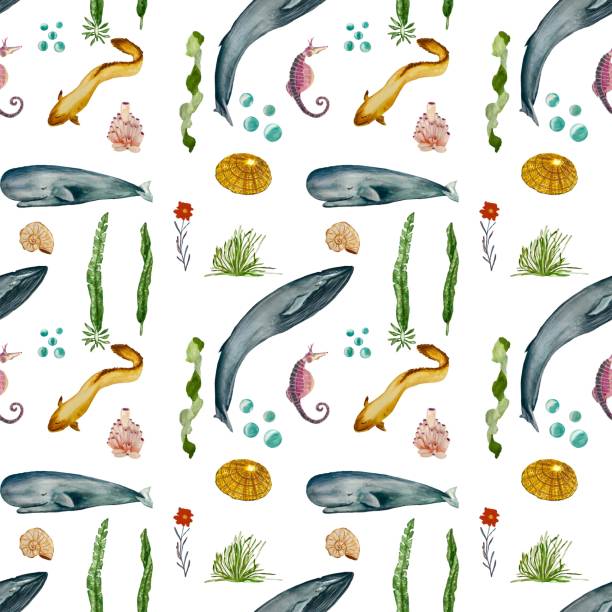 ilustrações de stock, clip art, desenhos animados e ícones de eel whale seaweed coral shell watercolor pattern - label travel san diego california california