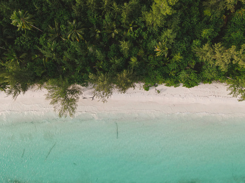 Aerial view of white sand turquoise beach with tropical jungle in Indonesia