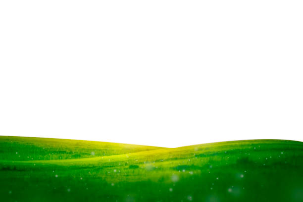 green hill, green grass isolated on white background