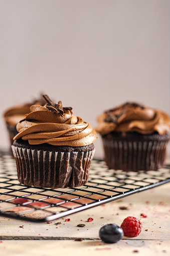 Homemade delicious cupcakes with chocolate buttercream. Space for text.
