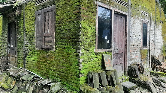 Old abandones house with mossy wall