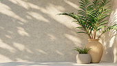 Tropical palm in clay pot and shadow on concrete wall.