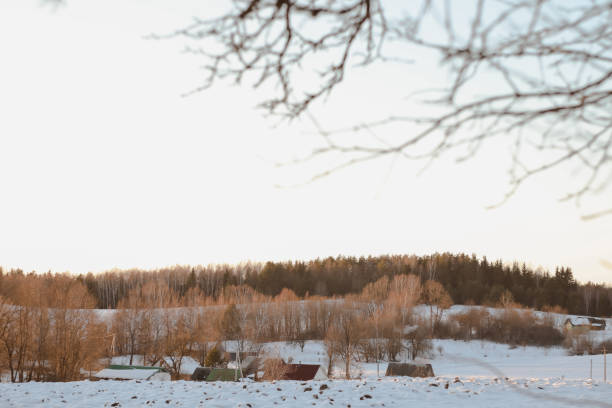 ländlich schöne winterlandschaft. nicht-urbane szene. neujahr, weihnachten. malerische aussicht auf die landschaft an einem frostigen wintertag - christmas winter landscape non urban scene stock-fotos und bilder