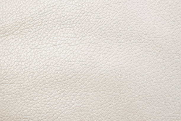 istock Macro shot white leather texture background.. Part of perforated leather details. White perforated leather texture background. Texture, artificial leather 1466616316