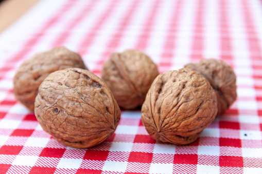 A closeup of uncracked walnuts placed on a red and white picnic table cloth