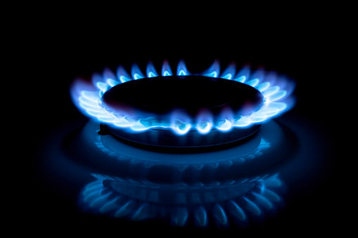 Gas cooker with burning fire propane gas. Blue flames on gas stove burner isolated on black background