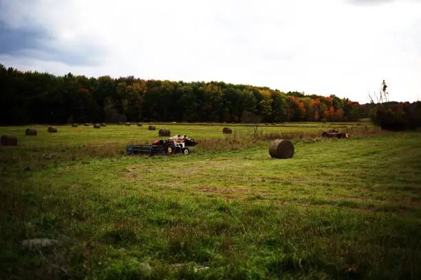 Photo of haymaker tractor in a green field with stacks of hay, and a dense forest in the background