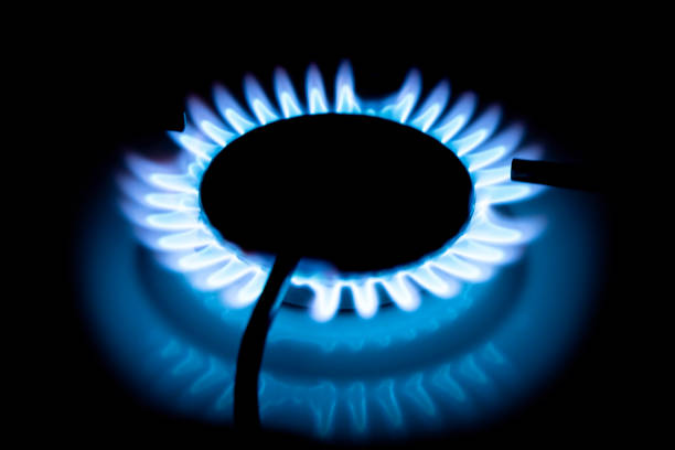 gas cooker with burning fire propane gas. blue flames on gas stove burner isolated on black background - blue flame natural gas fireplace imagens e fotografias de stock