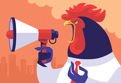 vector illustration of businessman rooster holding megaphone and shouting