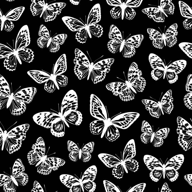 30+ Black And Grey Butterfly Tattoo Backgrounds Illustrations, Royalty-Free  Vector Graphics & Clip Art - iStock